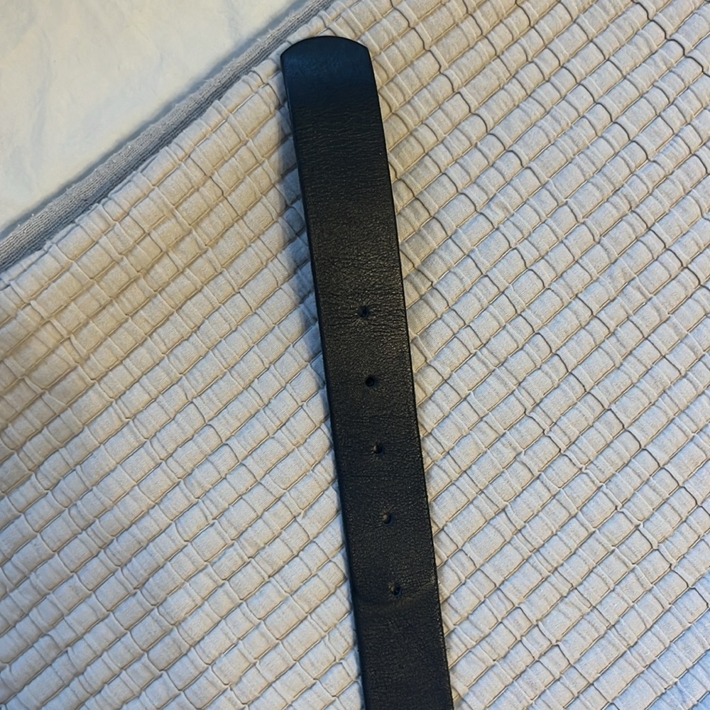 Target Belt - Picture 3 of 3